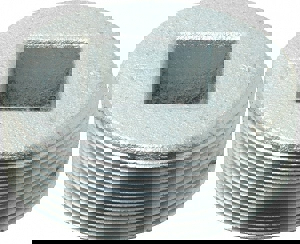 Conduit Plug: For Rigid & Intermediate (